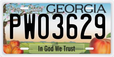 GA license plate PWO3629