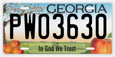GA license plate PWO3630