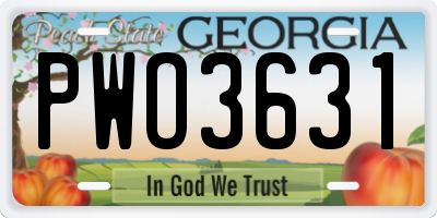 GA license plate PWO3631