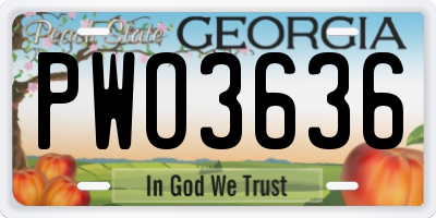 GA license plate PWO3636