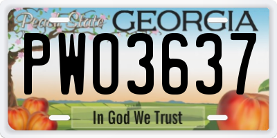 GA license plate PWO3637
