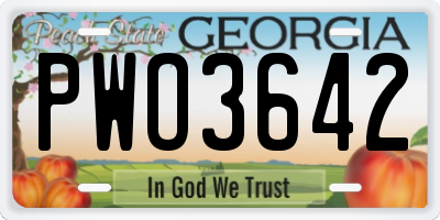 GA license plate PWO3642