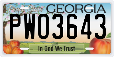 GA license plate PWO3643