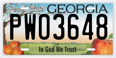 GA license plate PWO3648