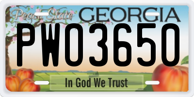 GA license plate PWO3650