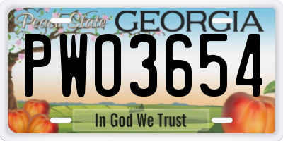 GA license plate PWO3654