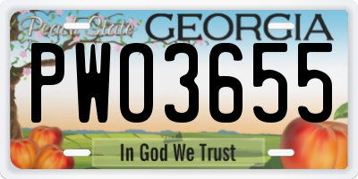 GA license plate PWO3655
