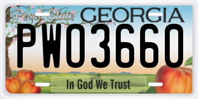 GA license plate PWO3660