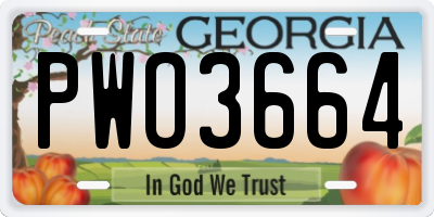 GA license plate PWO3664