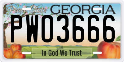 GA license plate PWO3666