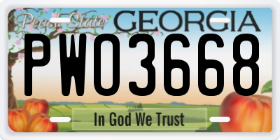 GA license plate PWO3668