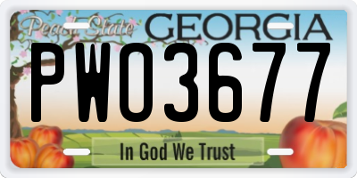GA license plate PWO3677