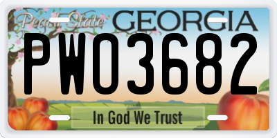 GA license plate PWO3682