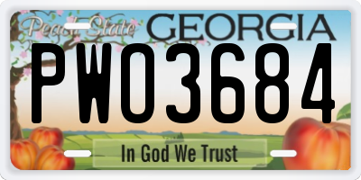 GA license plate PWO3684