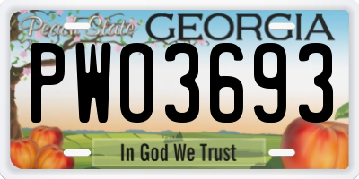 GA license plate PWO3693