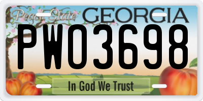GA license plate PWO3698