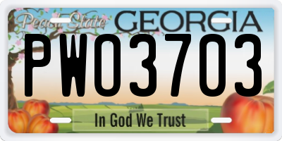 GA license plate PWO3703