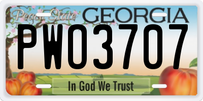 GA license plate PWO3707