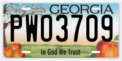 GA license plate PWO3709