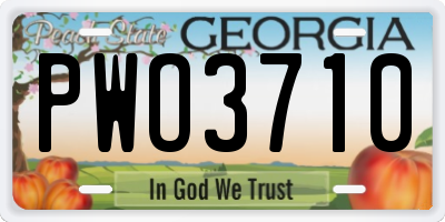 GA license plate PWO3710
