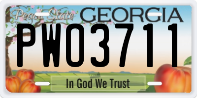 GA license plate PWO3711