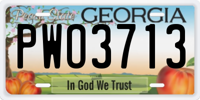 GA license plate PWO3713