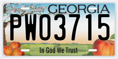 GA license plate PWO3715