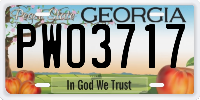 GA license plate PWO3717