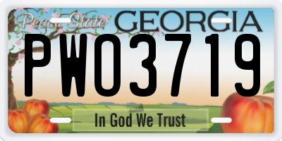 GA license plate PWO3719