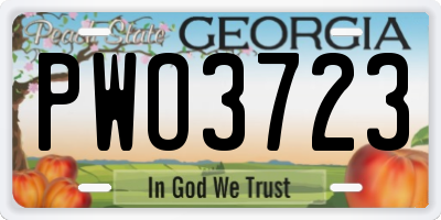 GA license plate PWO3723