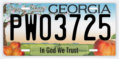 GA license plate PWO3725