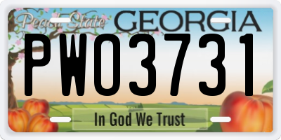 GA license plate PWO3731