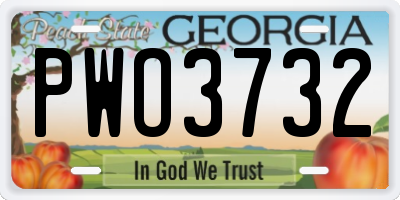 GA license plate PWO3732