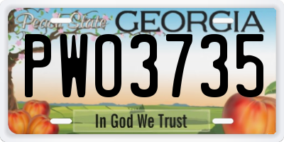 GA license plate PWO3735