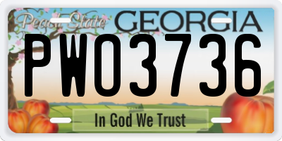 GA license plate PWO3736