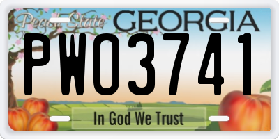 GA license plate PWO3741