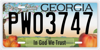 GA license plate PWO3747