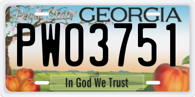 GA license plate PWO3751