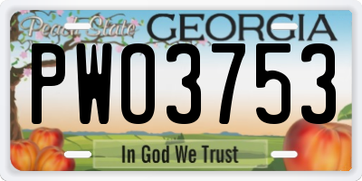 GA license plate PWO3753