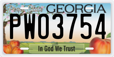 GA license plate PWO3754