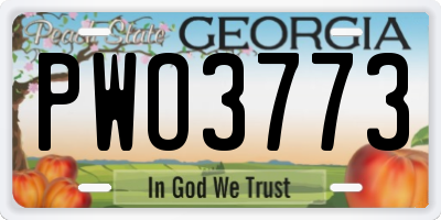 GA license plate PWO3773