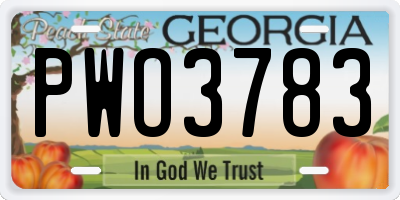 GA license plate PWO3783