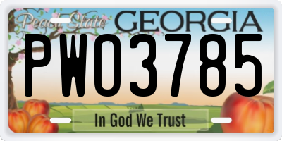 GA license plate PWO3785