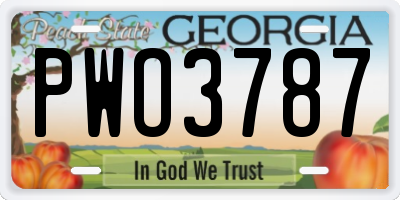 GA license plate PWO3787