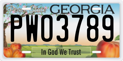 GA license plate PWO3789