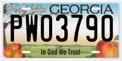 GA license plate PWO3790