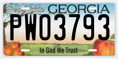 GA license plate PWO3793