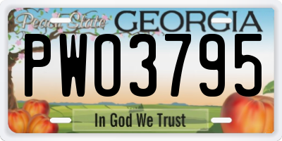 GA license plate PWO3795
