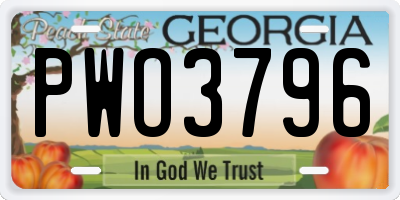 GA license plate PWO3796