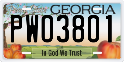GA license plate PWO3801